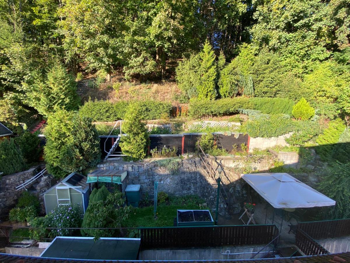 Waldblickwohnung Mit Schoener Terrasse Und Kamin Sebnitz Exterior foto